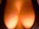 Bild von tripmaster