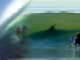 Bild von delfinsurfer